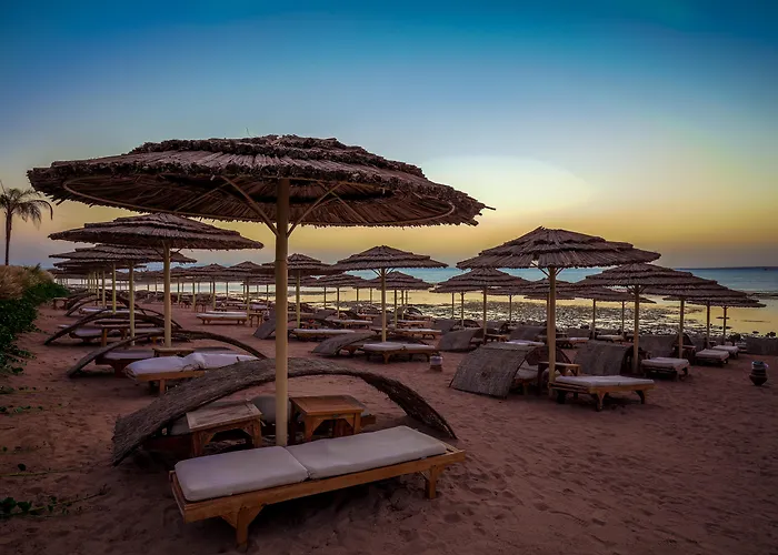 Cleopatra Luxury Sheikh (adults Only) Resort Sharm el-Sheikh