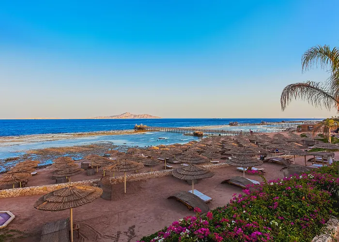 Cleopatra Luxury Sheikh (adults Only)