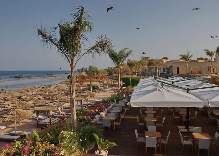 Resort Cleopatra Luxury Sheikh (adults Only) Sharm el-Sheikh