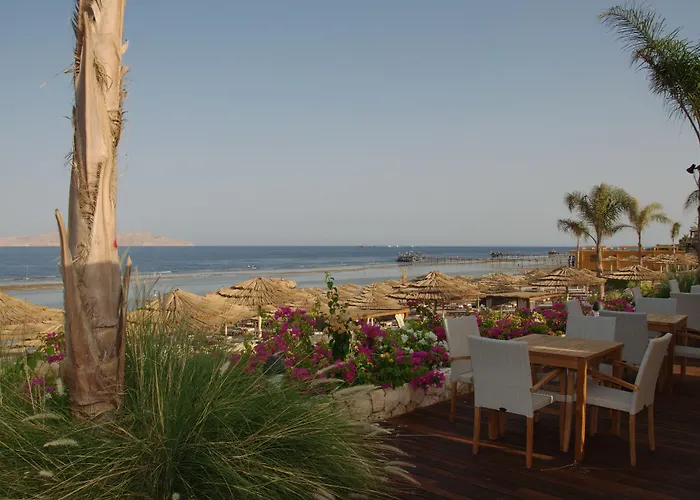Cleopatra Luxury Sheikh (adults Only) 5*